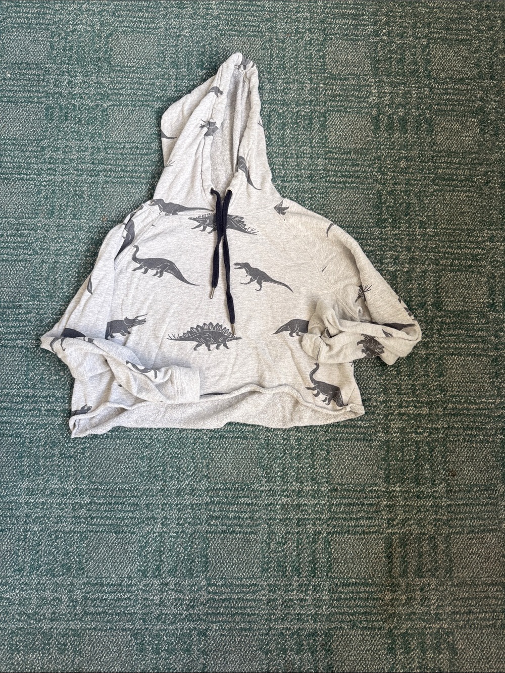 Cropped Dinosaur Hoodie